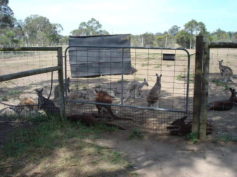Hunter Valley Zoo