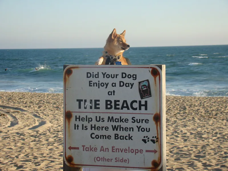 Huntington Dog Beach