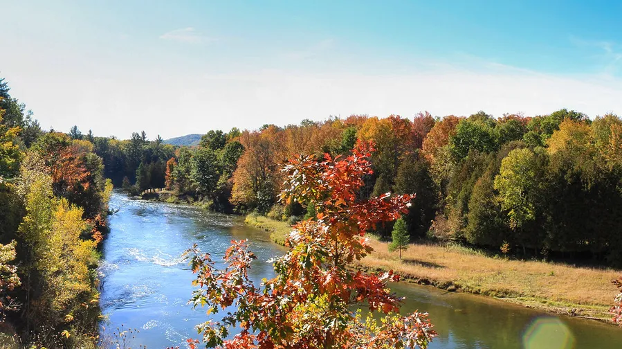 Huron-Manistee National Forests