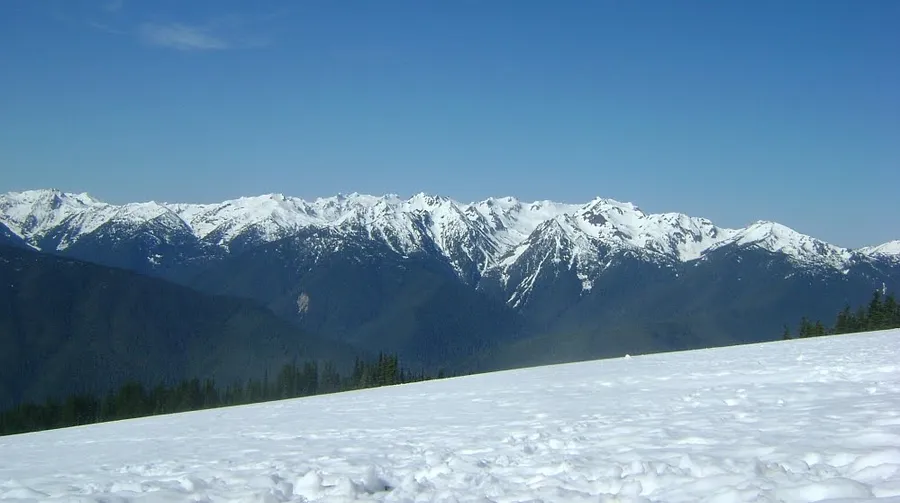 Hurricane Ridge