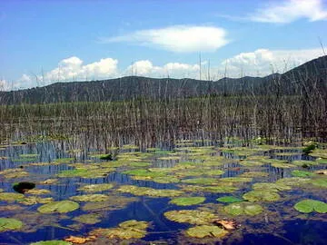 Hutovo Blato Nature Park