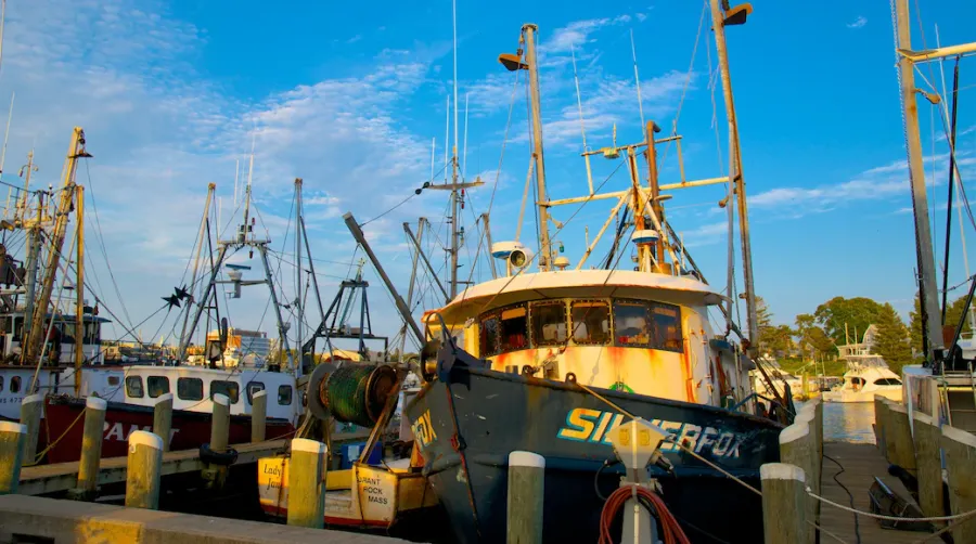 Hyannis Harbor