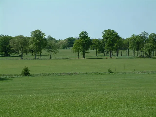 Hylands Park