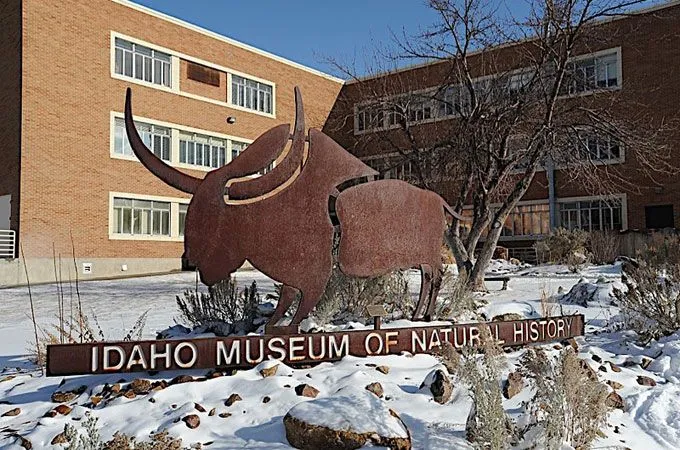 Idaho Museum of Natural History