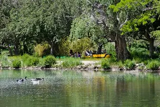 Idlewild Park