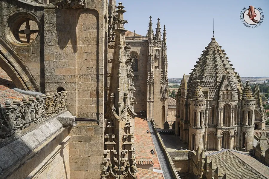 Ieronimus, Torres de la Catedral