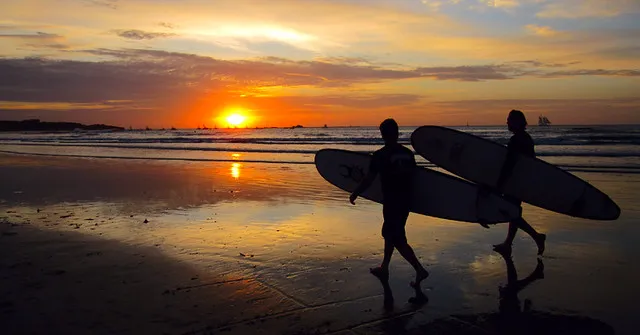 Iguana Surf