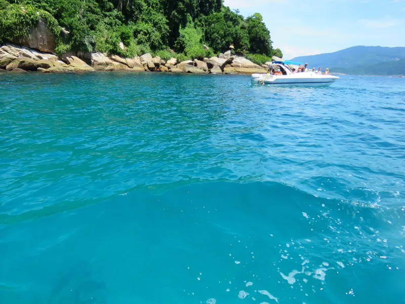 Ilha de Jorge Grego