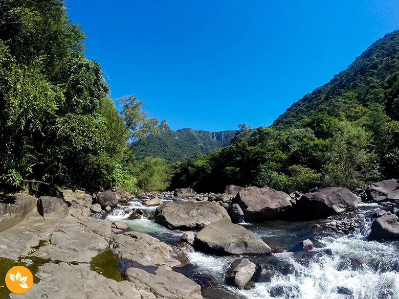 Ilha do Boi