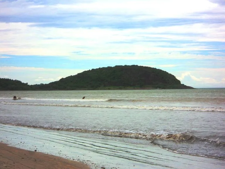 Ilha do Gambá