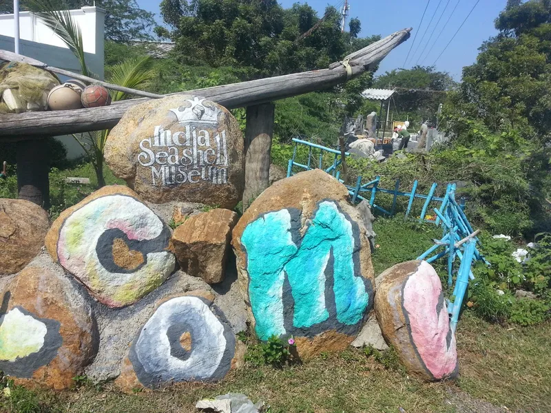 India Seashell Museum