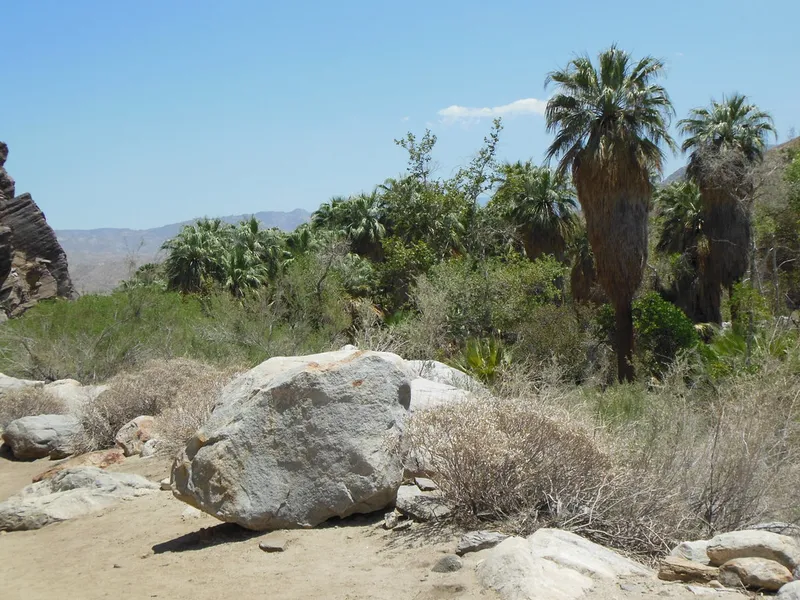 Indian Canyons