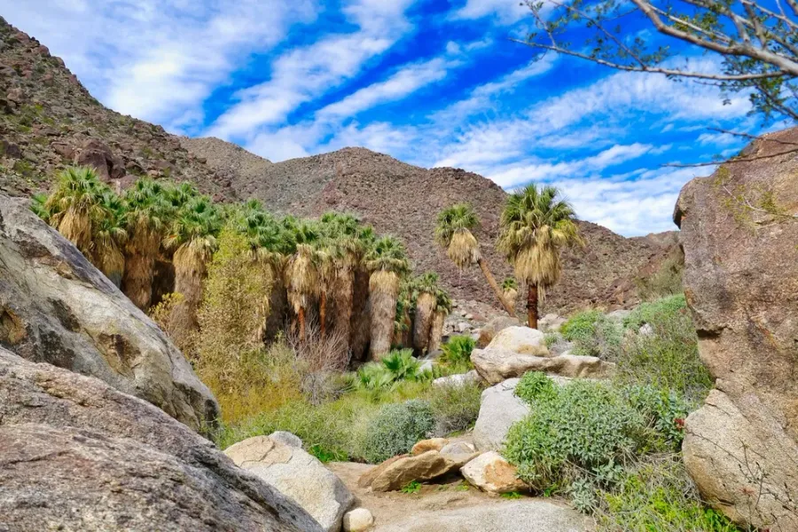 Indian Canyons