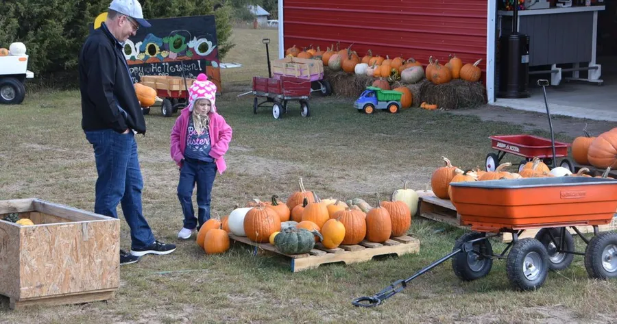 Indian Creek Pumpkin Patch
