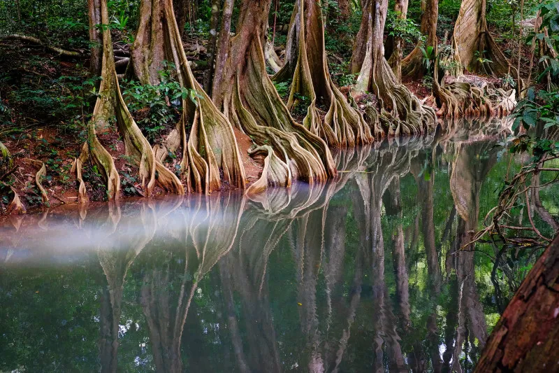 Indian River