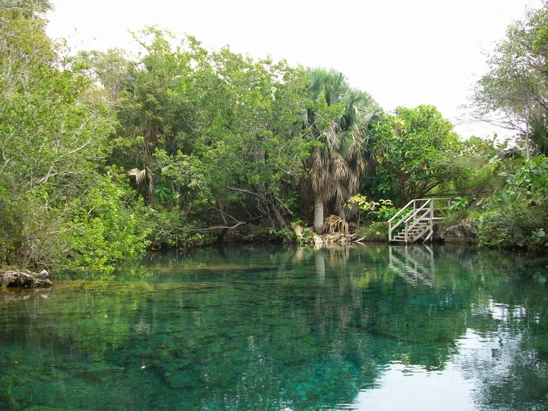 Indigenous Eyes Ecological Park