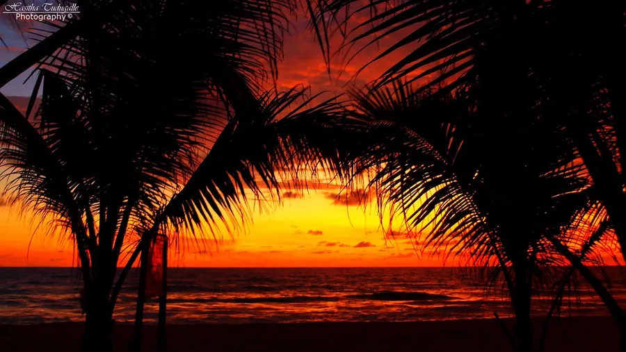 Induruwa Beach