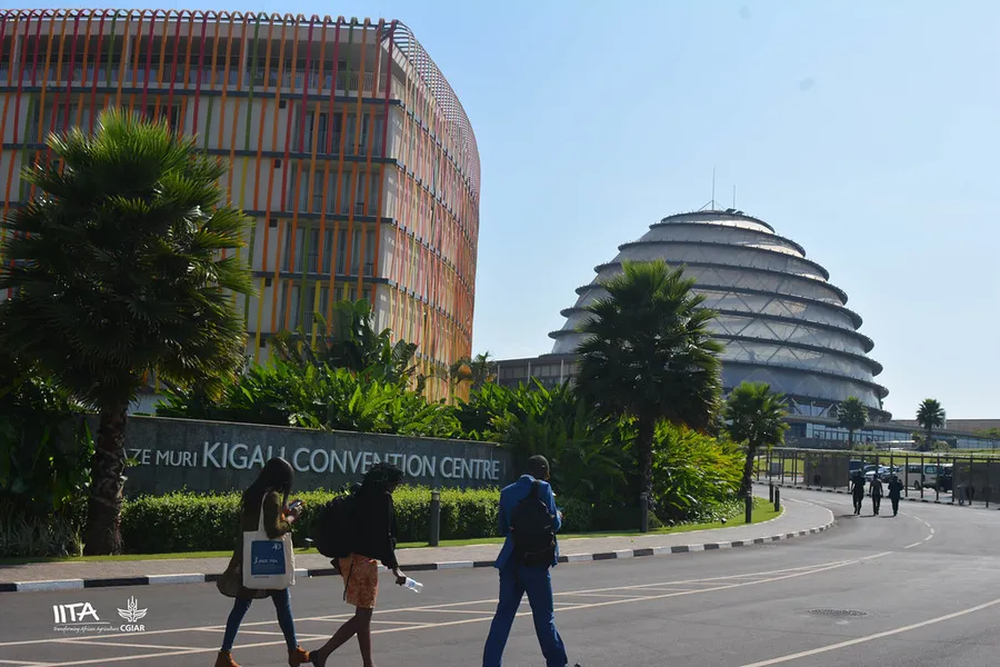 Inema Art Center