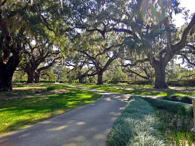 Inlet Point Plantation Stables