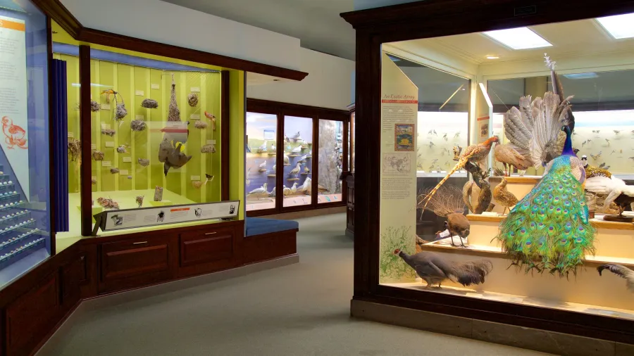 Iowa Museum of Natural History