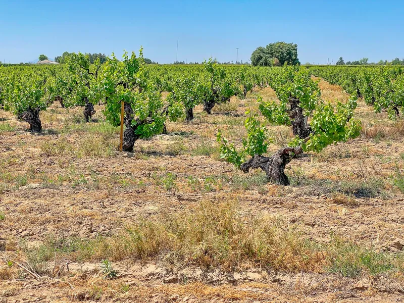 Ironstone Vineyards
