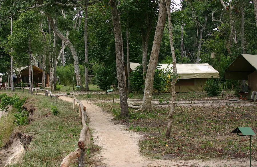 Ishasha Wilderness Camp
