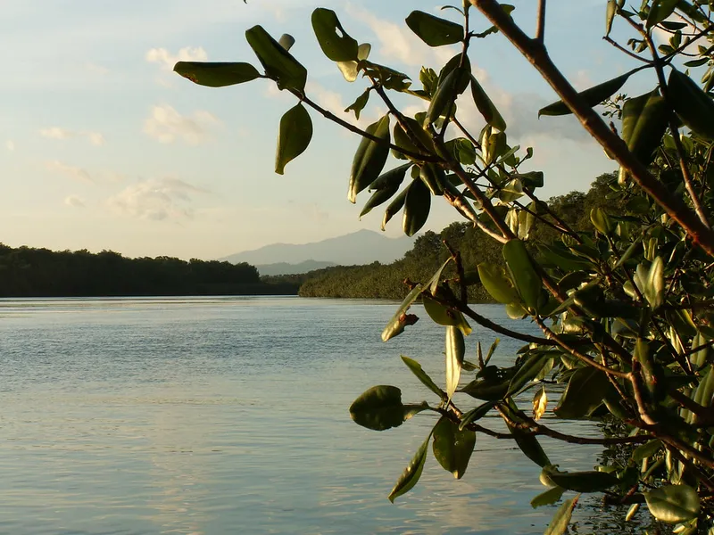 Isla Damas