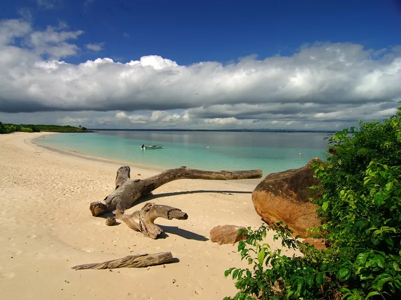 Isla Iguana