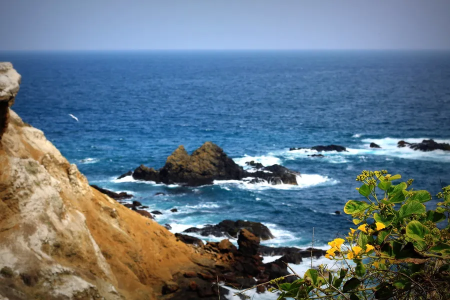 Isla de la Plata