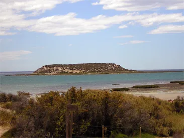 Isla de los Pajaros Niños