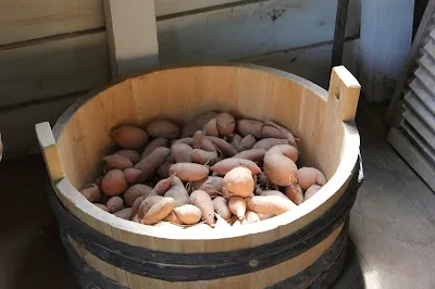 Island Farm