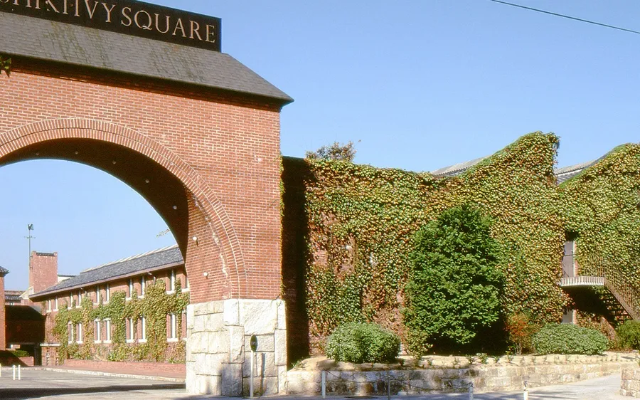 Ivy Square