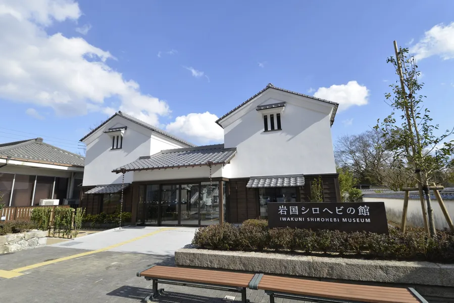 Iwakuni White Snake Museum