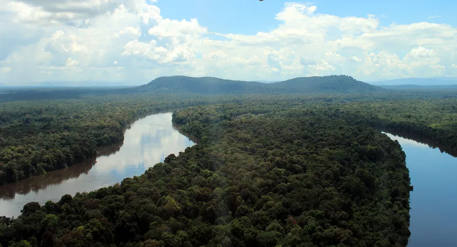 Iwokrama Forest