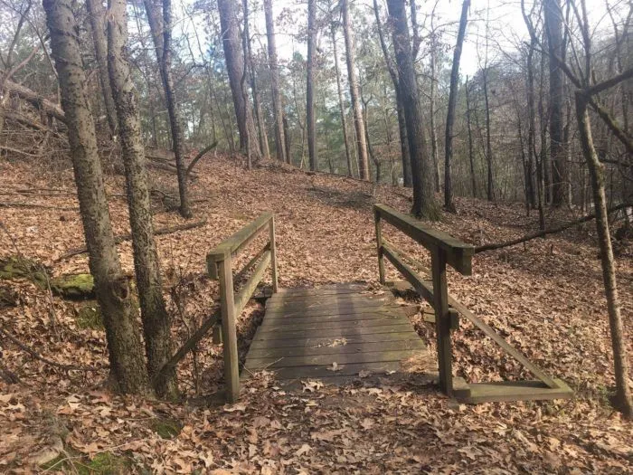 Jackson Hill Trail