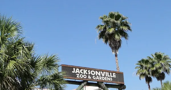 Jacksonville Zoo and Gardens