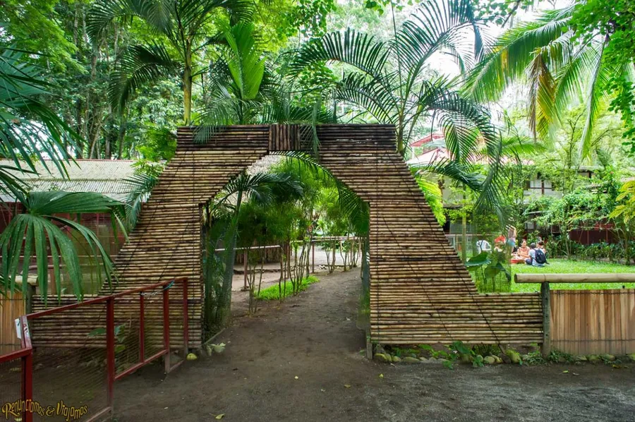 Jaguar Rescue Center