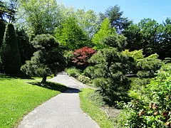 Japanese Garden