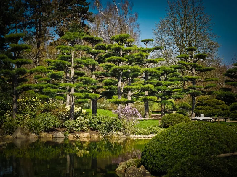 Japanese Garden