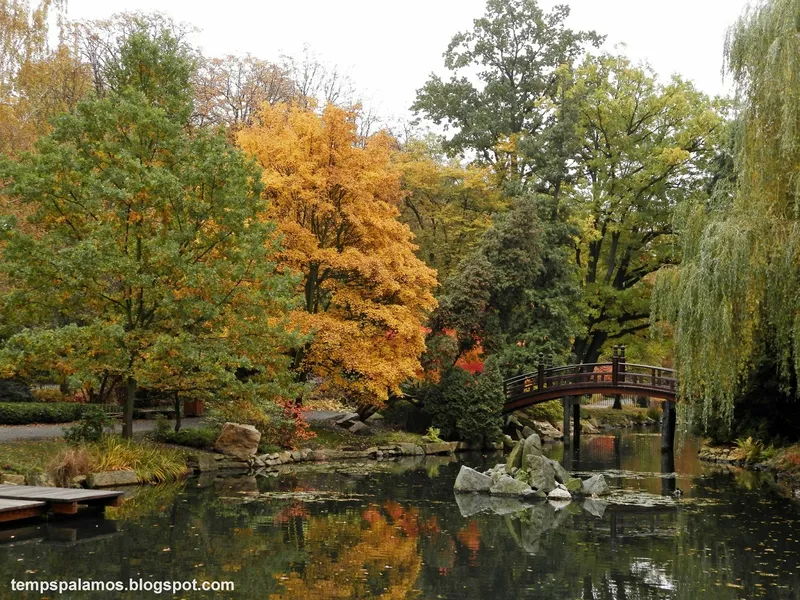Japanese Garden