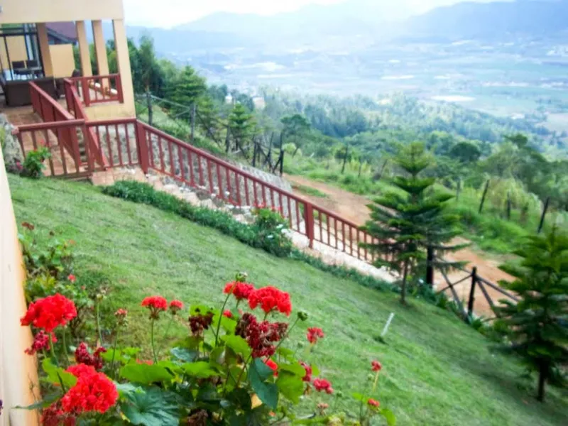 Japanese Garden of Constanza