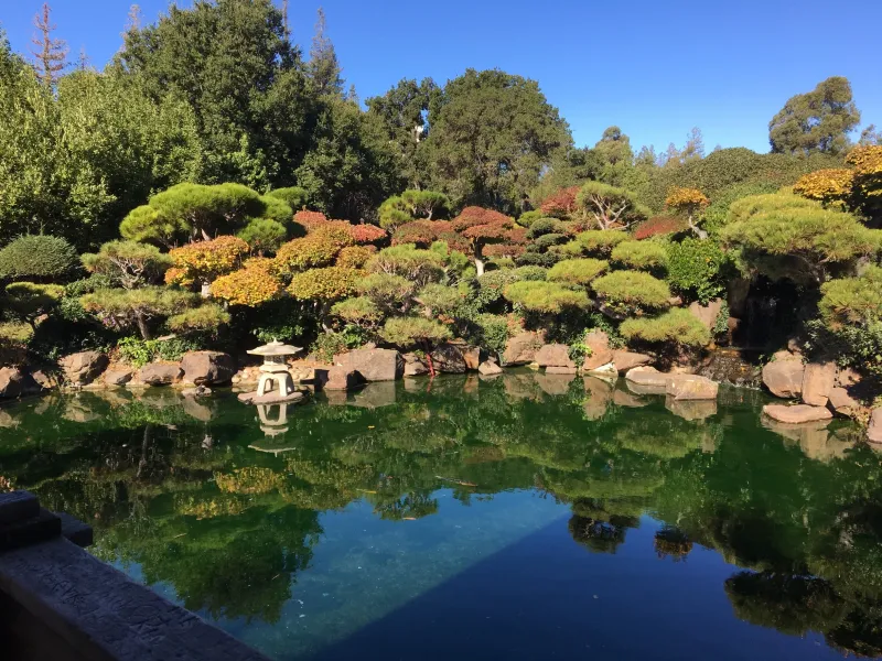 Japanese Gardens