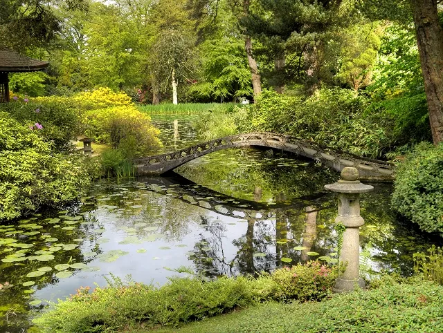 Japanese Gardens