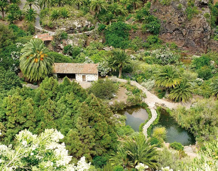 Jardín Botánico Canario Viera y Clavijo