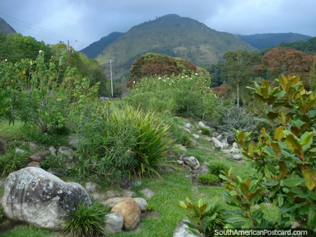 Jardín Botánico de Mérida