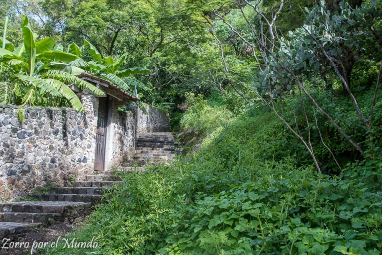 Jardín Botánico de Malinalco