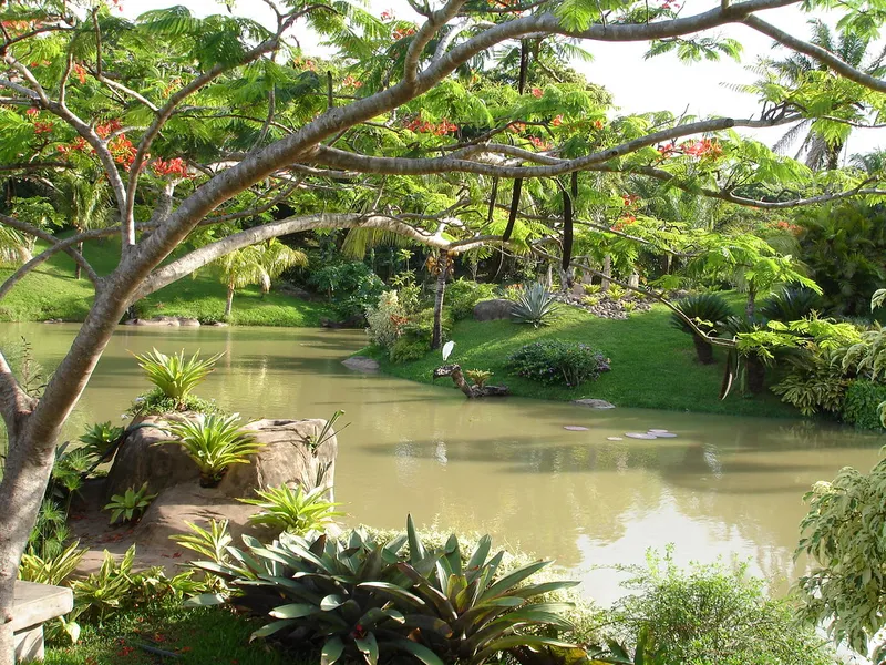 Jardín Botánico de Santa Cruz