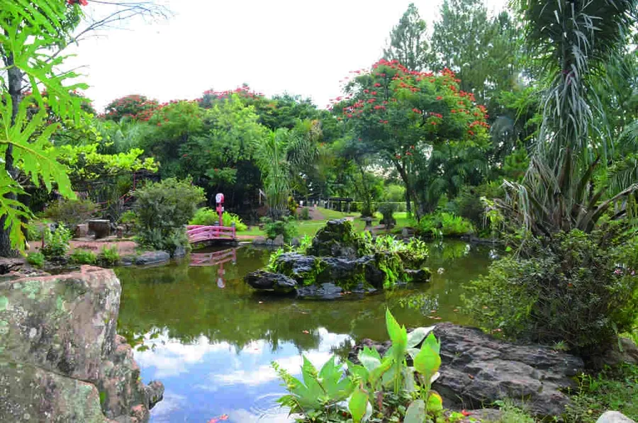 Jardim Japonês