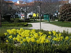Jardim José de Lemos