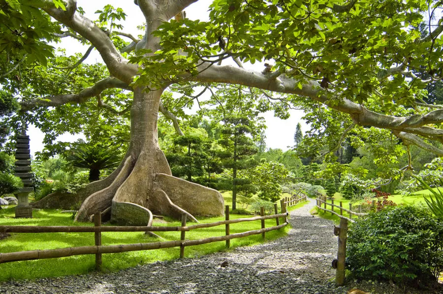 Jardin Botanico